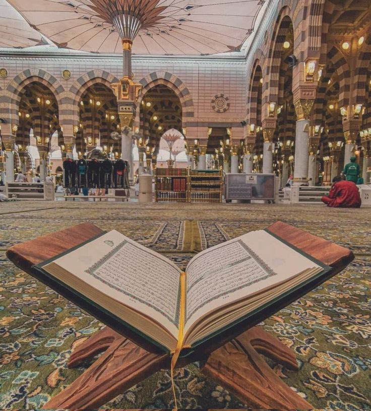 Panduan Makanan Halal & Kebutuhan Nutrisi Saat Umroh